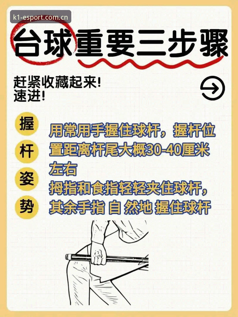 K1SPORT使用教程vs官方指南：哪个更适合新手快速上手？